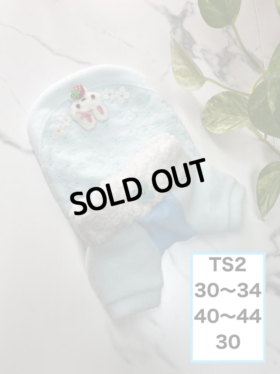 画像1: 【TS2】刺繍フリース（お袖付き） (1)