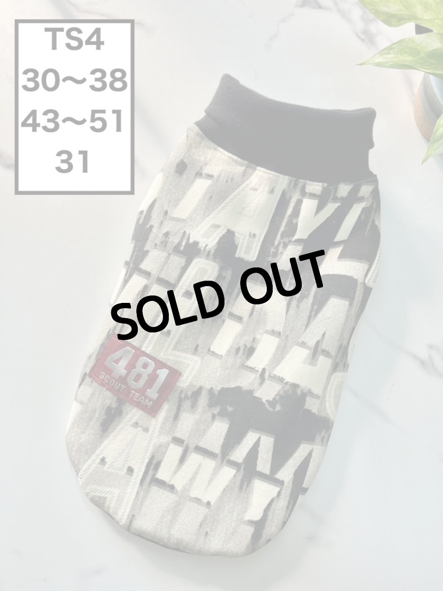 画像1: 【TS4】英字タンク (1)