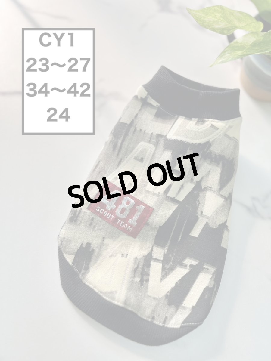 画像1: 【CY1】英字タンク (1)