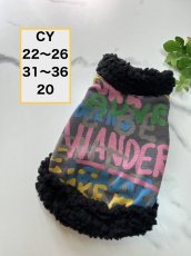 画像1: 【CY】カラフル英字（2） (1)