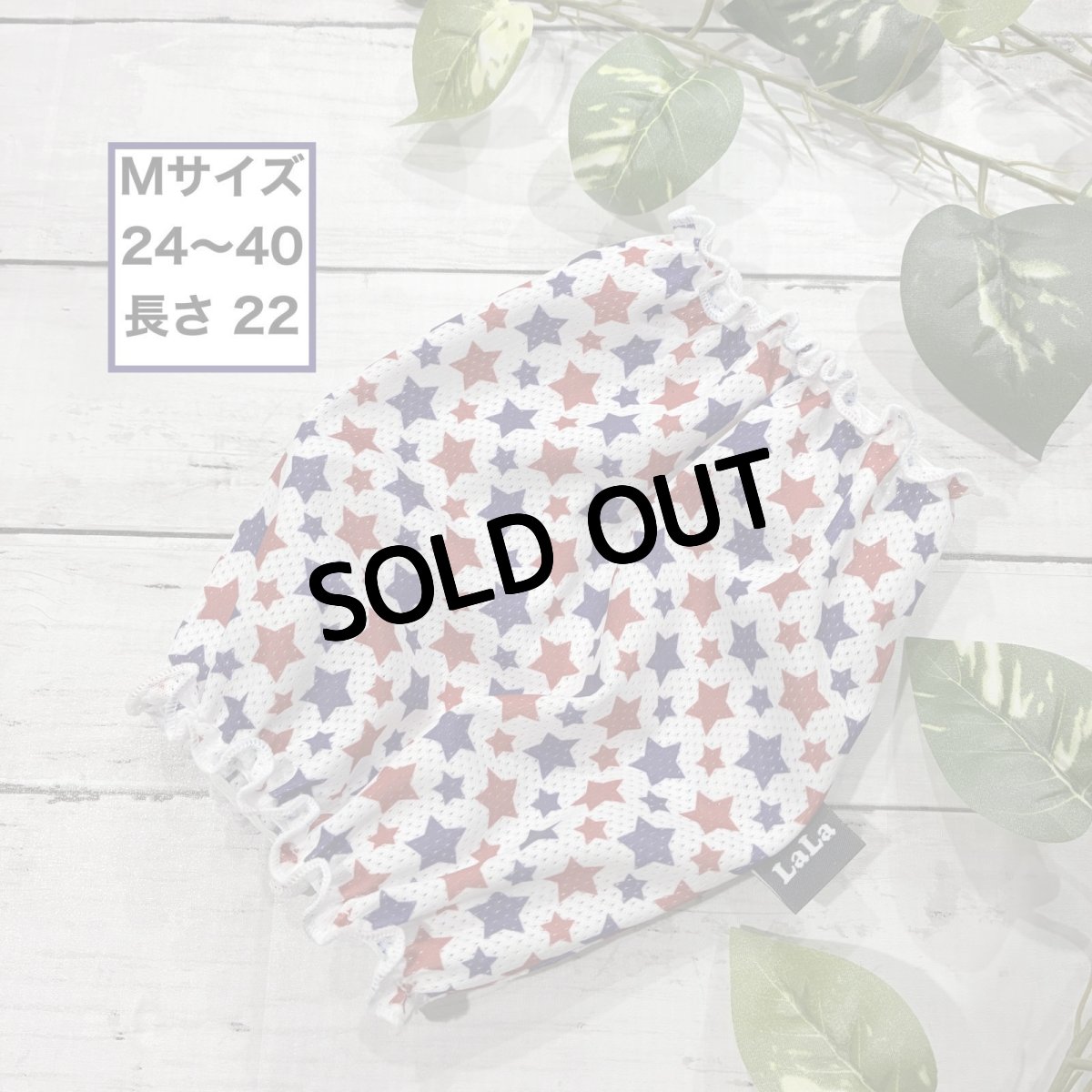 画像1: スター（M） (1)