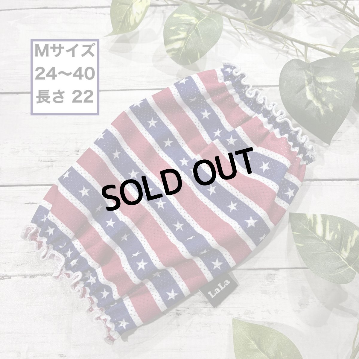 画像1: アメリカン（M） (1)