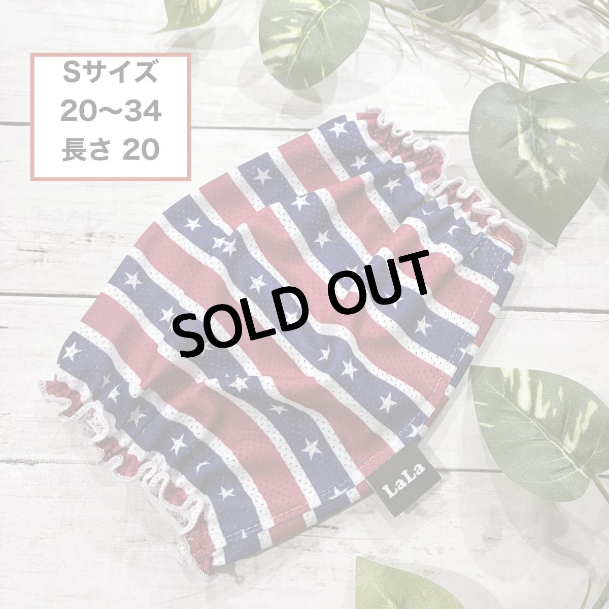 画像1: アメリカン（S） (1)