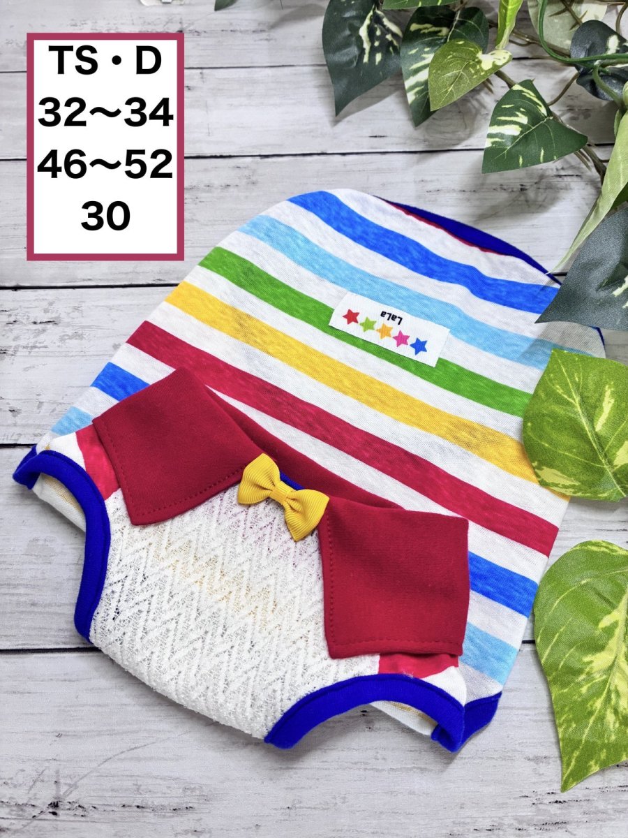 画像1: 【TS・D】カラフル襟付きタンク（5） (1)