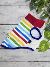 画像2: 【TS・D】カラフル襟付きタンク（5） (2)