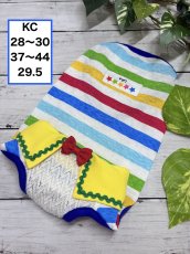 画像1: 【KC】カラフル襟付きタンク（1） (1)