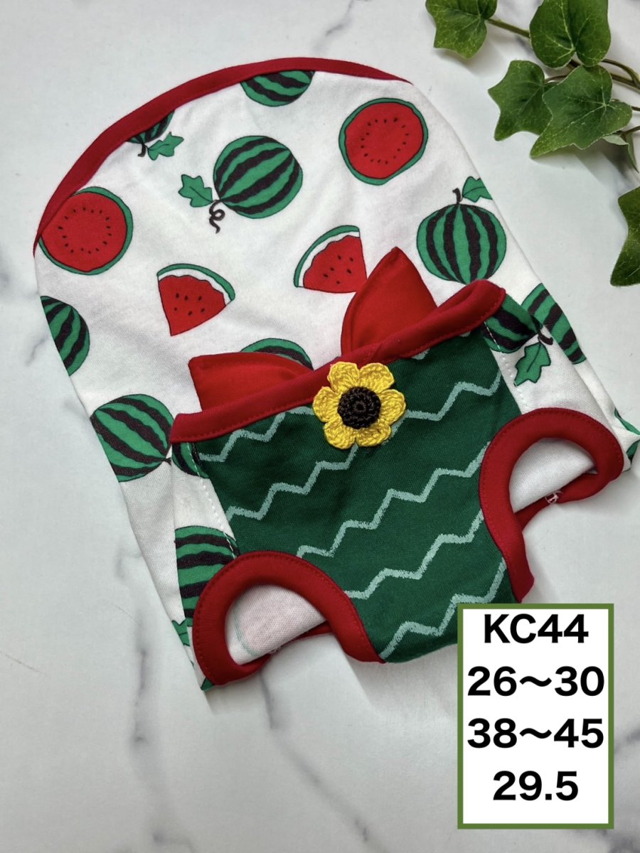 画像1: 【KC44】スイカタンク (1)