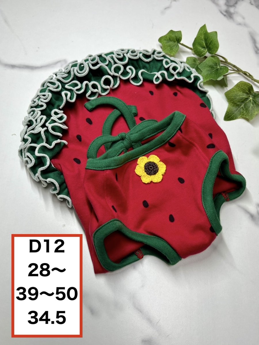 画像1: 【D12】スイカうねうねワンピ♪ (1)