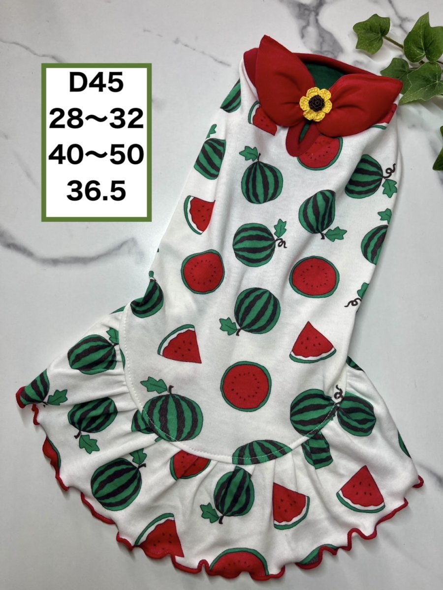画像1: 【D45】スイカフリルワンピ (1)