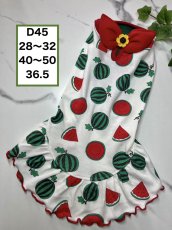 画像1: 【D45】スイカフリルワンピ (1)