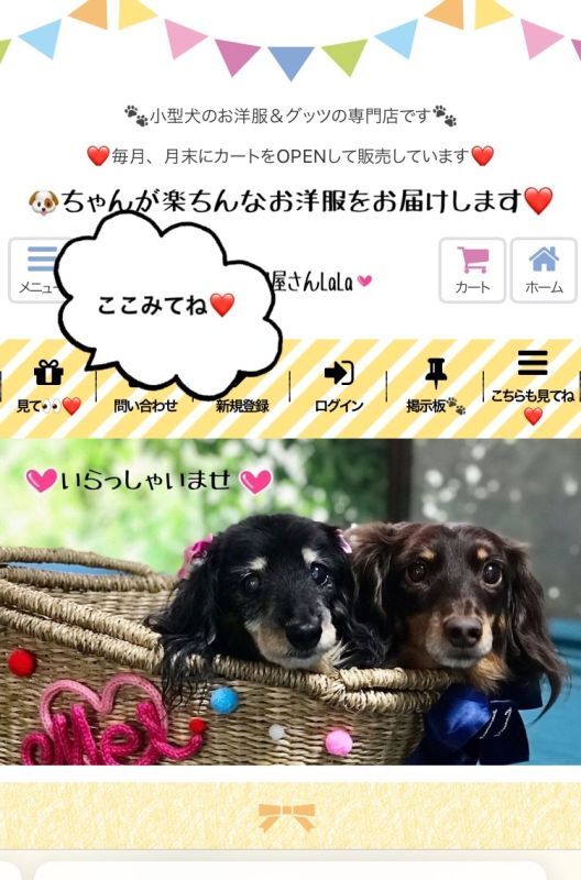 新しい試み〜👀❤️